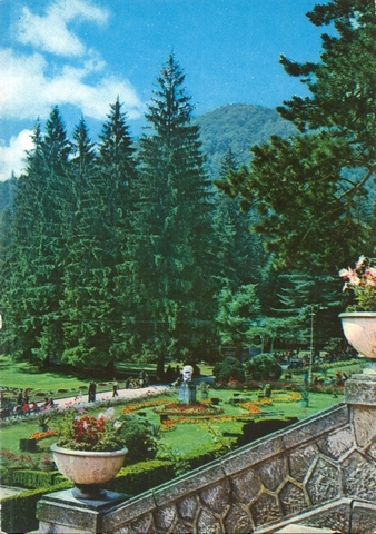 2096-2 - Slănic-Moldova. Vedere din parc